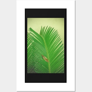 Tropical Posters and Art